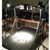 通过高光谱成像利用机器学习评估麦草畏对麦草畏不耐受性大豆的农作物损害