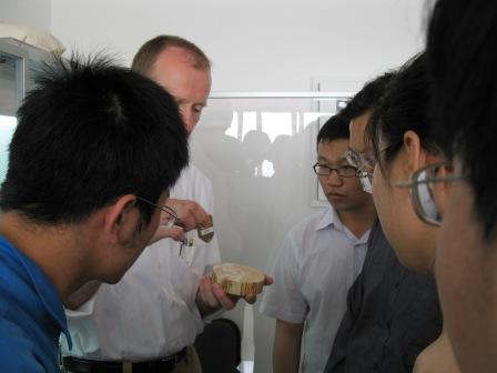 德国RINTECH公司应用科学家来到中国林业科学院培训Lignostation年轮密度工作站 德国RINTECH公司应用科学家来到中国林业科学院培训Lignostation年轮密度工作站